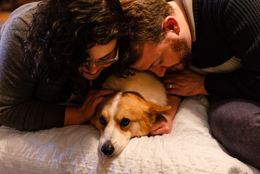 tilly project end of life photo session for henry the corgi in pittsburgh during he winter